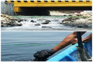 PT Wilmar Nabati Indonesia Buang Limbah ke Teluk Lamong