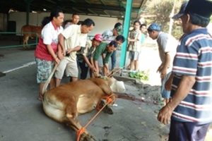 Peringati Idhul Qurban, PT EMKL Pendawa Usir Wartawan