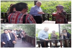 Tertarik dengan Program Risma, Dubes AS Kunjungi Mangrove Surabaya