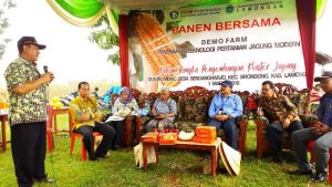 BI Gelar Panen Komoditas Jagung Bersama Kabupaten Lamongan