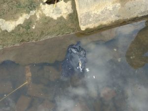 Mayat Bayi di Sungai Gemparkan Warga Kediri