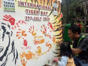 Terancam Punah, Taman Safari Prigen Kampanye Harimau