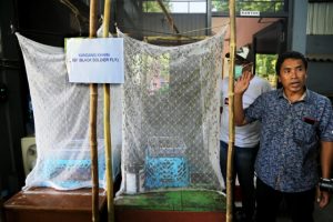 Kurangi Limbah Rumah Tangga, Pemkot Surabaya Terapkan Teknologi Black Soldier Fly