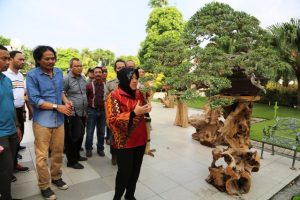 Wali Kota Risma Berharap Festival Bonsai Nusantara Jadi Agenda Tahunan yang Mendunia