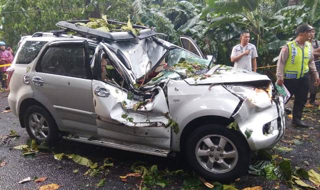 Mobil Tertimpa Pohon Tumbang, Pengemudi Terluka dan Satu Penumpang Tewas