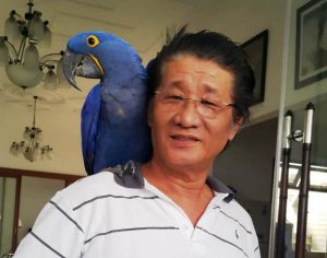 Ratusan Burung Sitaan di Jember Terancam Mati, Singky Soewadji Siap Tampung dan Rawat
