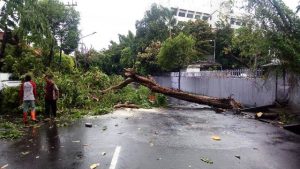 Dilanda Hujan Deras dan Angin Kencang, Warga Kota Surabaya Wajib Waspada