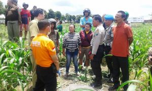 Dua Hari Tinggalkan Rumah, Nenek 90 Tahun Ditemukan Tewas di Area Sawah