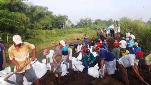 Tanggul Sungai Jebol, Ratusan Warga Desa Pesing Kediri Kerja Bakti Massal