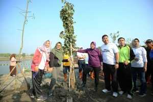 Tanam 50 Ribu Pohon dan Tebar 15 Ribu Benih Ikan, Pemkot Canangkan Kebun Raya Mangrove Pertama di Dunia