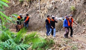 Asah Kemampuan Destana Mojo, BPBD Kabupaten Kediri Gelar Gladi Lapang Tanggap Bencana