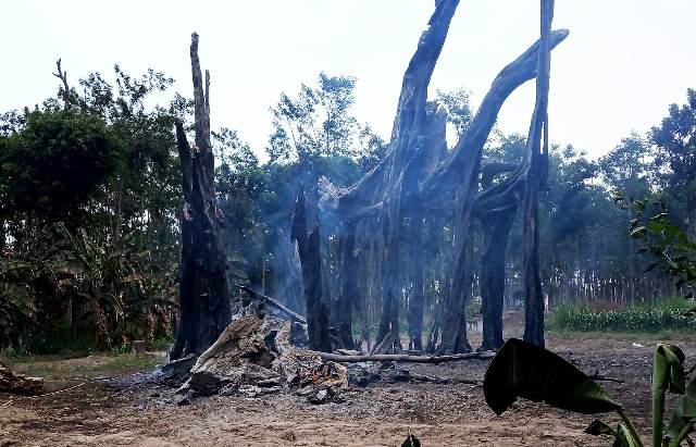 Punden Nglarangan di Desa Krenceng Kediri Ludes Terbakar