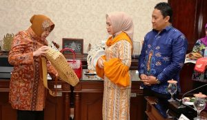 Kabupaten Pulang Pisau Kalteng Rujuk E-Performance Ala Wali Kota Risma