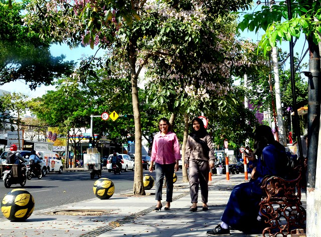 Ribuan Pohon Tabebuya Bermekaran, Kota Surabaya Makin Cantik