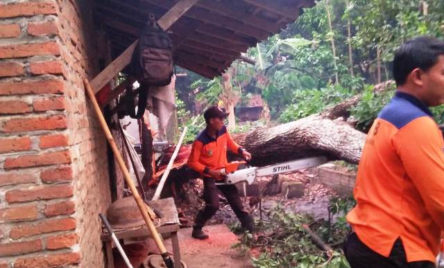 Hujan Angin di Wilayah Kediri Terjang Rumah Warga dan Tumbangkan Puluhan Pohon