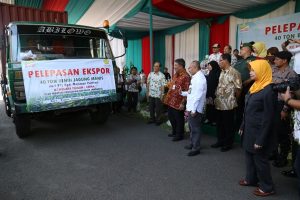 PT Agri Makmur Pertiwi di Kediri Mampu Ekspor 40 Ton Benih Jagung Manis ke Cina