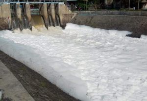 Diduga Tercemar Limbah, Sungai Afvoer Jurusan Sungai Pucang Berbusa