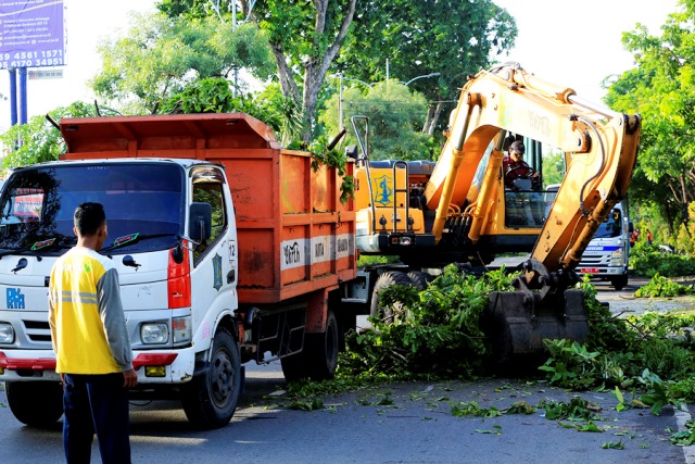 Hasil Perantingan Pohon di Surabaya Jadi Pupuk Kompos dan Kerajinan Tangan