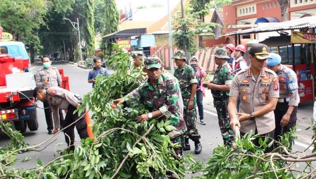 Antisipasi Pohon Tumbang, Jajaran Forpimda Sidoarjo Terlibat Perantingan dan Pemotongan