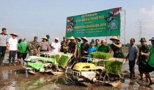 Maksimalkan Hasil Panen, TNI AD Berikan Pelatihan di Sawah
