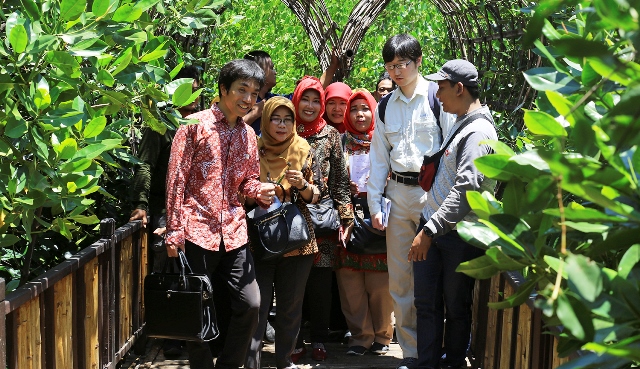 Teliti Ekosistem Mangrove, Pemkot Surabaya Gandeng Kitakyushu