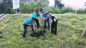 JPM Tanam 1000 Pohon Damar di ROW Interchage Malang