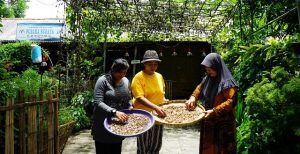 Warga Surabaya Sudah Budidaya Tanaman Obat Sebelum Virus Corona Muncul