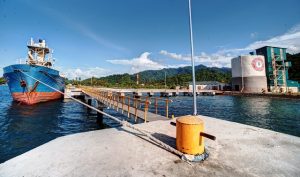 SIG Catatkan Pendapatan Rp8,58 Triliun Pada 1Q20