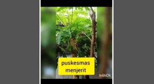 Perbuatan Orang Tak Bertanggungjawab, Video Berjudul ‘Puskesmas Menjerit’ Dipastikan Hoax