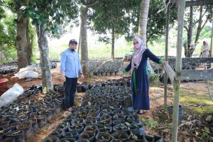 Bangkitkan Ekonomi Kerakyatan di Tengah Pandemi, Pemkab Tanbu Bakal Bagikan Ribuan Bibit ke TOGA