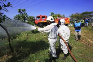Perawatan Tahura di Surabaya Berjalan Rutin dengan Protokol Kesehatan