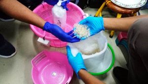 Bandara Juanda Gagalkan Penyelundupan Ribuan Bibit Lobster