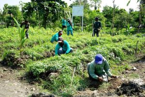 Wali Kota Risma Siapkan Program Kedaulatan Pangan Menghadapi Pandemi