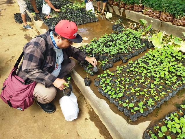 Budidaya Urban Farming Terus Diminati Masyarakat Kota Surabaya