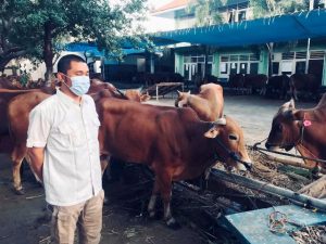 Jelang Hari Raya Idul Adha, RPH Surabaya Pastikan Disiplin Protokol Kesehatan