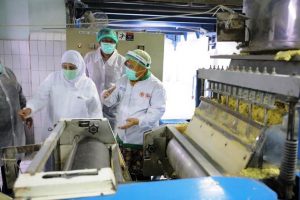 Survey SMRC: Tingkat PHK Jatim Terendah se-Pulau Jawa