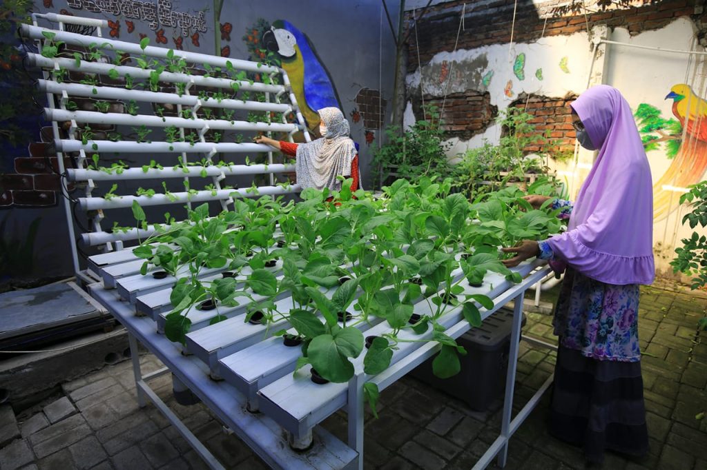 Pengembangan Urban Farming dan Diversifikasi Pangan untuk Penguatan Ketahanan Pangan Kota Surabaya
