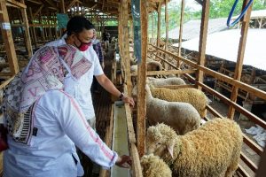 OJK Gelar Business Matching Di Kabupaten Bondowoso Untuk Mendukung Program Pen