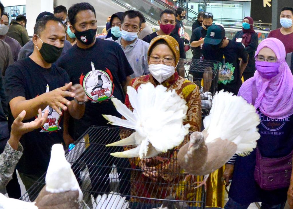Balai Kota Surabaya Akan Semakin Indah dengan Burung Merpati Berbagai Jenis