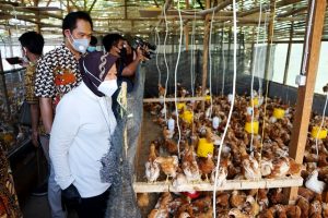 Resmikan Tahura Lempung, Wali Kota Risma Berharap Jadi Tempat Pelestarian Alam, Tumbuhan dan Ternak