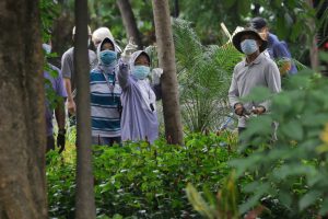 Ungkap Alasan Banyak Tanam Pohon, Wali Kota Risma Beberkan juga Teori Perantingannya