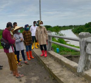 Pastikan Kondisinya Kuat Menampung Aliran Air, Wali Kota Risma Tinjau Tanggul Kali Lamong