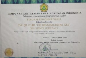 Dukung Program Kesehatan Lingkungan di Tengah Pandemi, Wali Kota Risma Raih Penghargaan dari HAKLI