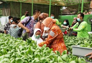 Panen Raya Hidroponik, Wali Kota Risma Minta Warga Manfaatkan Hutan Kota untuk Liburan Akhir Tahun