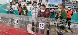 Hadir di Kontes Merpati Hias dan Endemik, Ini Pesan Wali Kota Eri Cahyadi