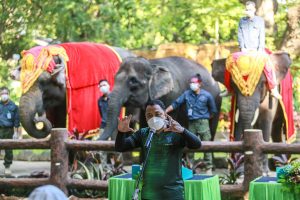 Jadi OTAS Komodo dan Gajah, Wali Kota Eri Cahyadi Bakal Percantik KBS