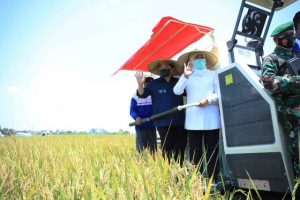 Stok Melimpah, Surplus Sampai Mei 2021, Jatim Tak Perlu Beras Impor