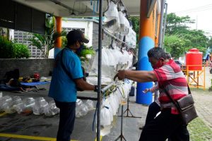 Tarik Pengunjung, Pemkot Surabaya Tata Ulang SIB Jadi Pasar Ikan Hias