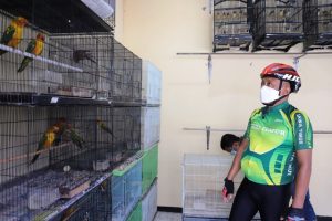 Gowes Menuju Kantor, Wawali Armuji Sempat Blusukan ke Pasar Burung Bratang