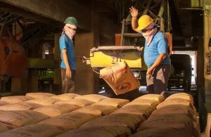 SIG Bukukan Laba Kuartal I Tahun 2021 Sebesar Rp 450,36 Miliar